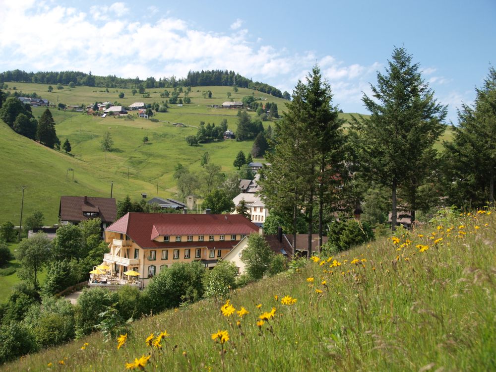 Kur & Sporthotel Lauterbad Freudenstadt Schwarzwald Ferien